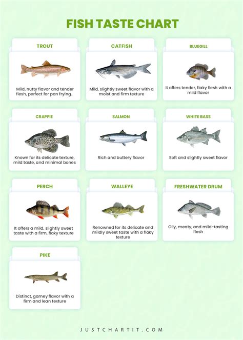 Fish Taste Chart: Best & Worst Fish Taste List .
